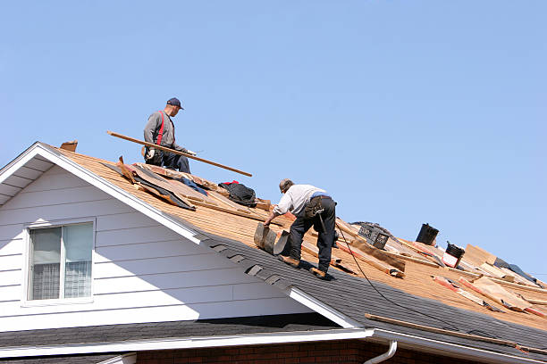 Best Roofing for New Construction  in Silver Summit, UT