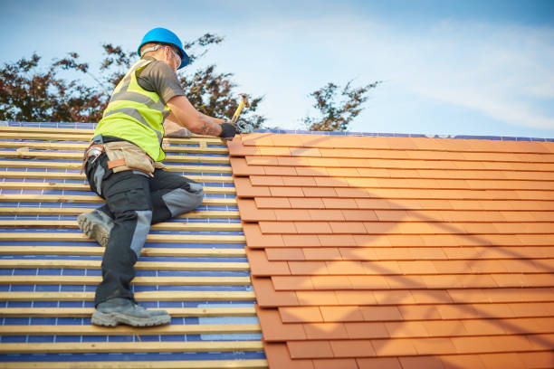 Best Roof Insulation Installation  in Silver Summit, UT